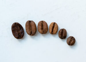 Wie wichtig ist das Röstdatum von Kaffee?