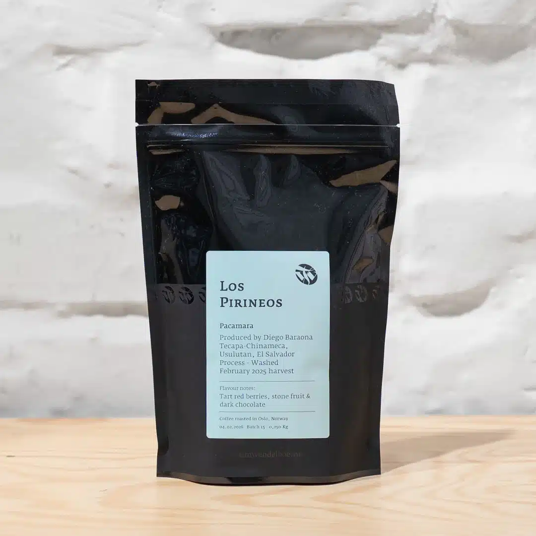 Tim Wendelboe El Salvador washed Los Pirineos Pacamara